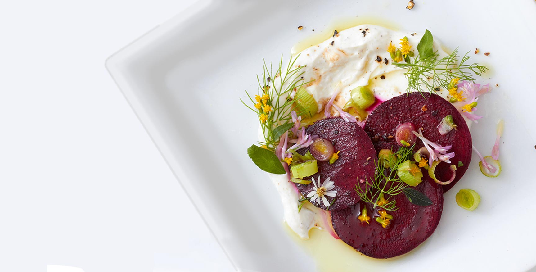 The Vegan Guide to Dining Out | Nutravita