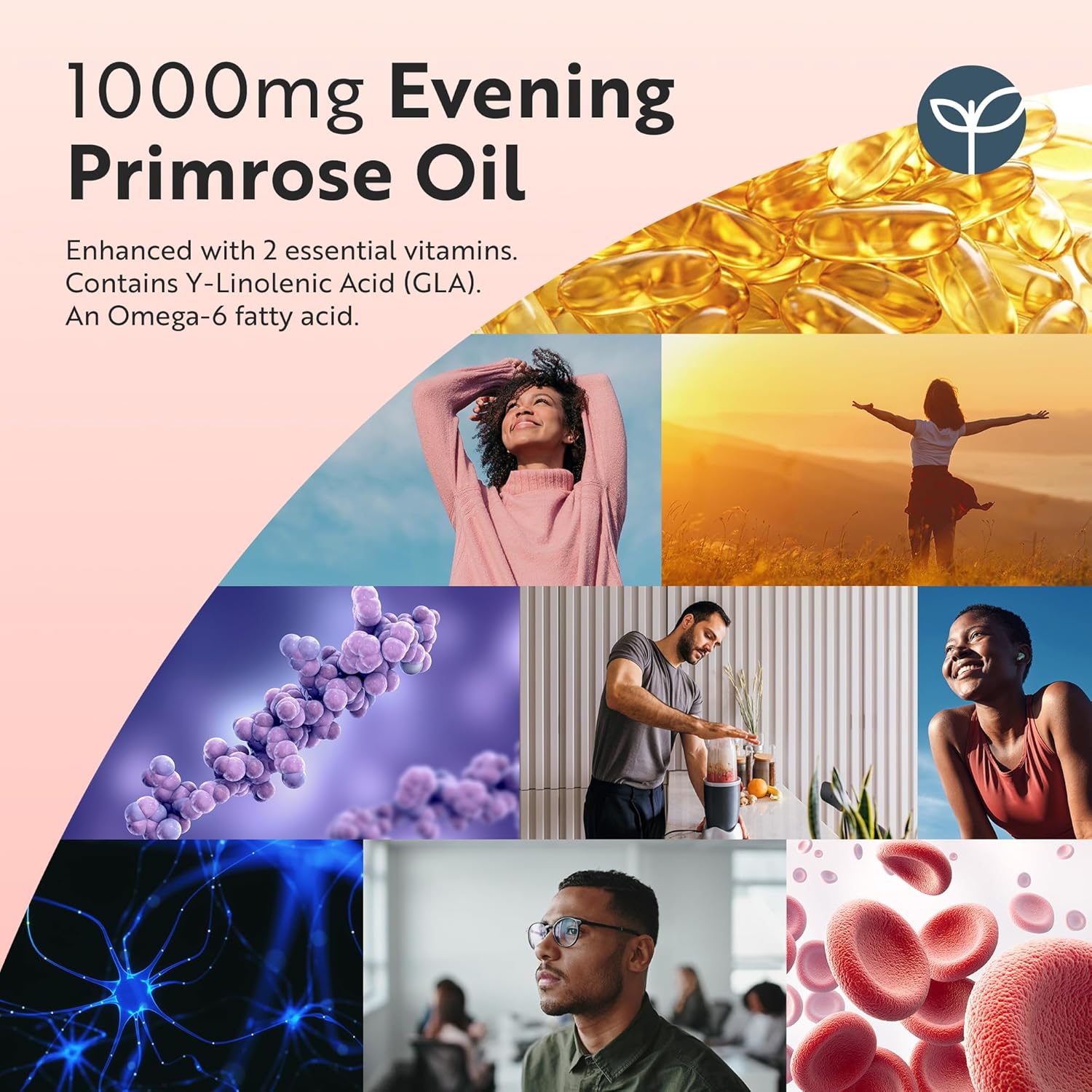 Evening Primrose Oil with Vitamins B6 & E | 120 Softgels